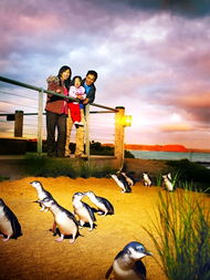 十一出境游長(zhǎng)線產(chǎn)品上市熱賣，揚(yáng)子旅游引領(lǐng)熱潮