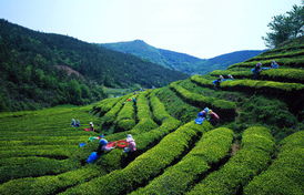 從北京出發，探索世界 一份出境旅行指南